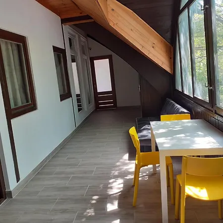 Ecostel Summer * シオーフォク