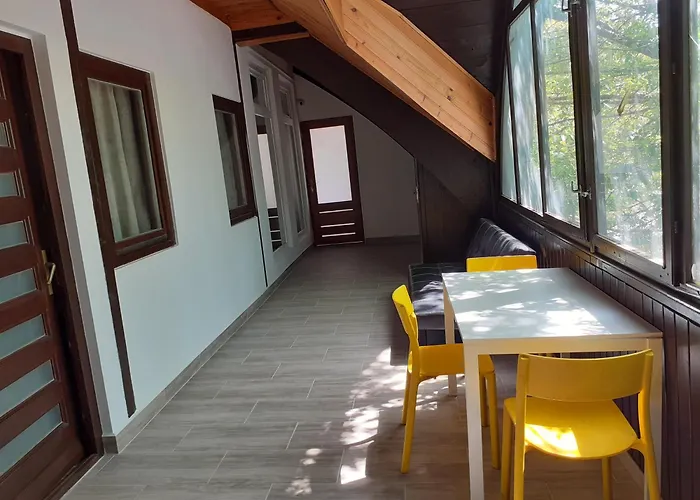 Ecostel Summer * シオーフォク