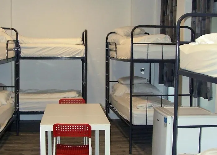 Ecostel Summer ホステル